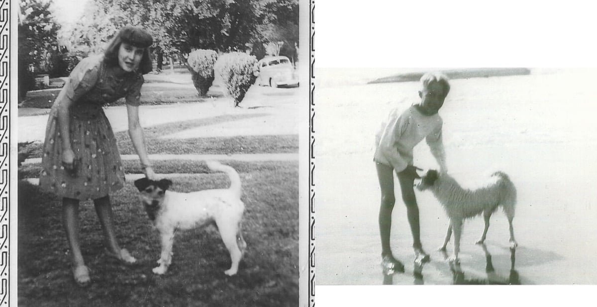 Vintage photograph related to the runaway dog story